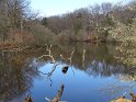 2016-04-07 14-32-53 Rando Poigny la Foret DLe